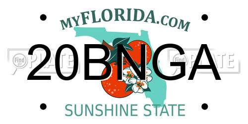 20BNGA Florida License Plate