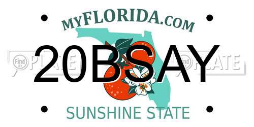20BSAY Florida License Plate