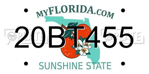20BT455 Florida License Plate