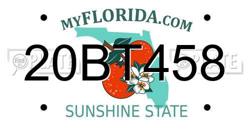 20BT458 Florida License Plate
