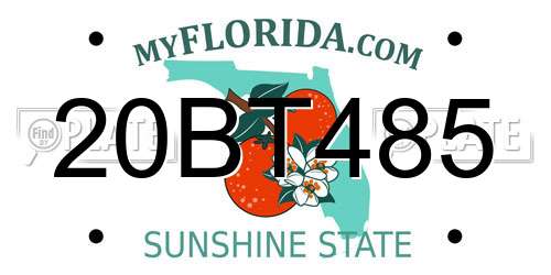 20BT485 Florida License Plate