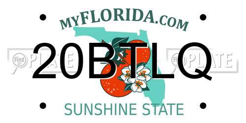 20BTLQ Florida License Plate