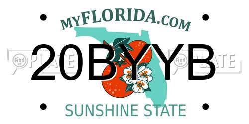 20BYYB Florida License Plate