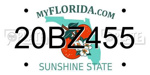 20BZ455 Florida License Plate