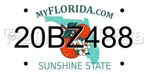 20BZ488 Florida License Plate