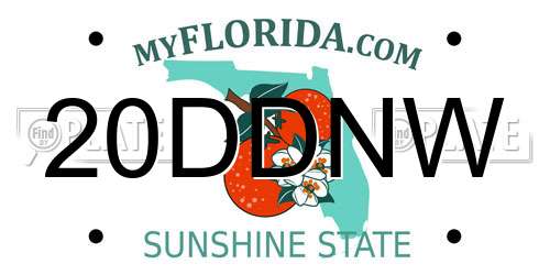 20DDNW Florida License Plate