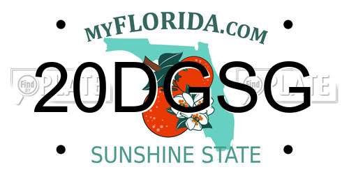 20DGSG Florida License Plate