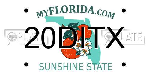 20DITX Florida License Plate