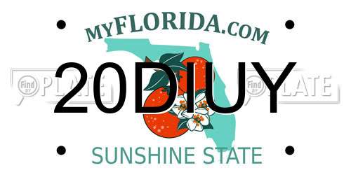 20DIUY Florida License Plate