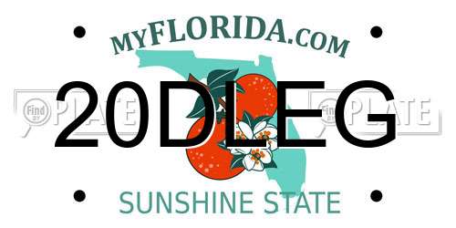 20DLEG Florida License Plate