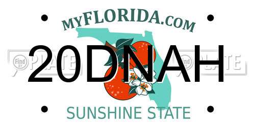 20DNAH Florida License Plate