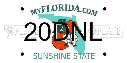 20DNL Florida License Plate