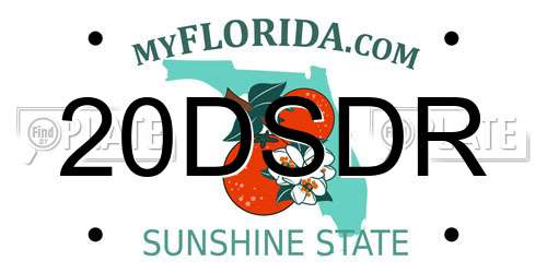 20DSDR Florida License Plate