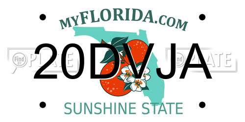 20DVJA Florida License Plate