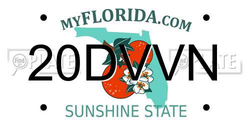 20DVVN Florida License Plate
