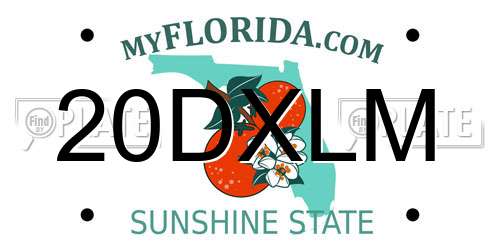 20DXLM Florida License Plate
