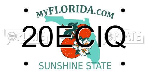 20ECIQ Florida License Plate
