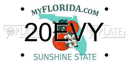20EVY Florida License Plate