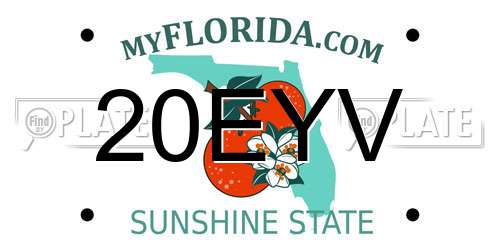 20EYV Florida License Plate