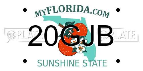20GJB Florida License Plate