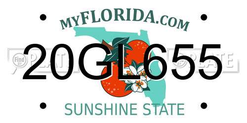 20GL655 Florida License Plate