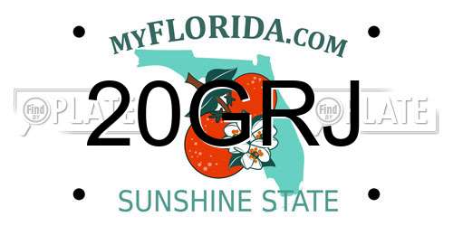 20GRJ Florida License Plate