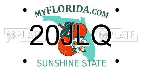 20JLQ Florida License Plate
