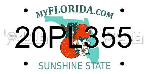 20PL355 Florida License Plate