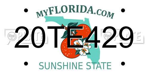 20TE429 Florida License Plate
