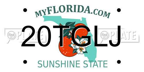 20TGLJ Florida License Plate