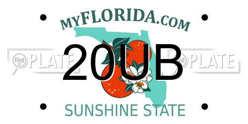 20UB Florida License Plate