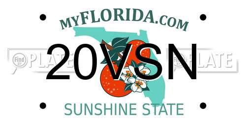 20VSN Florida License Plate