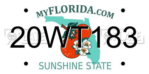 20WT183 Florida License Plate