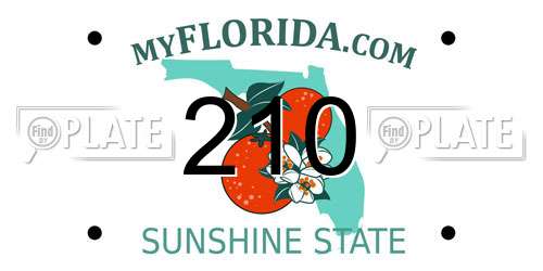 210 Florida License Plate
