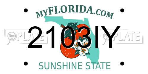 2103IY Florida License Plate