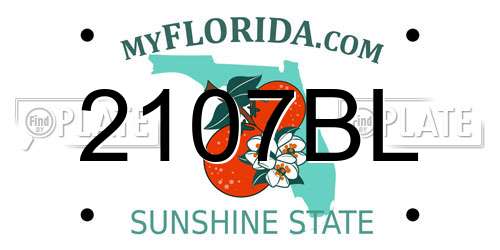 2107BL Florida License Plate