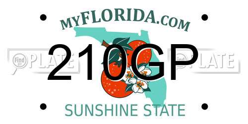 210GP Florida License Plate