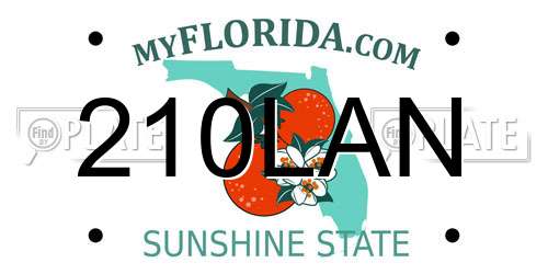 210LAN Florida License Plate
