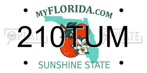 210TUM Florida License Plate