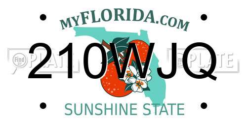 210WJQ Florida License Plate