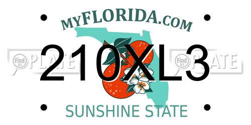 210XL3 Florida License Plate