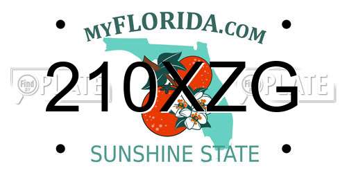 210XZG Florida License Plate