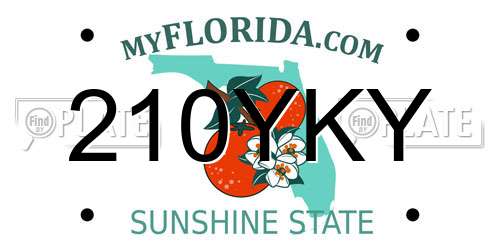 210YKY Florida License Plate