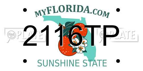 2116TP Florida License Plate