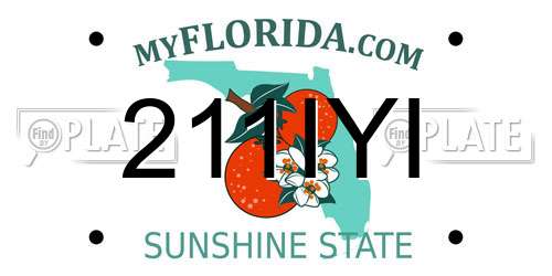 211IYI Florida License Plate