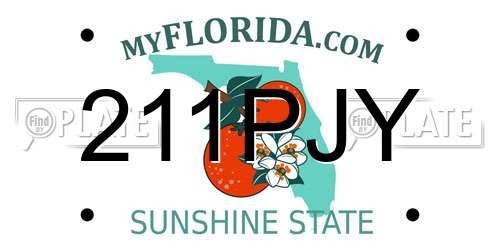 211PJY Florida License Plate