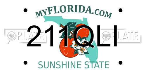 211QLI Florida License Plate