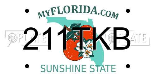 211TKB Florida License Plate