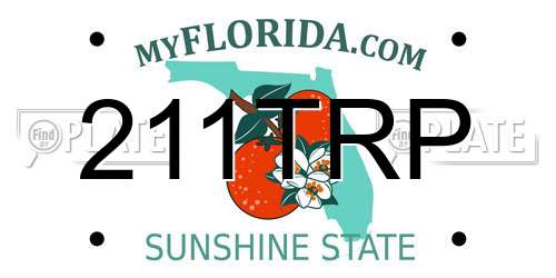 211TRP Florida License Plate