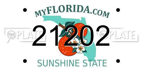 21202 Florida License Plate